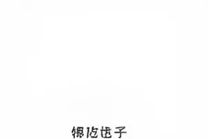 幕后花絮站封面图，录制现场互动花絮合集